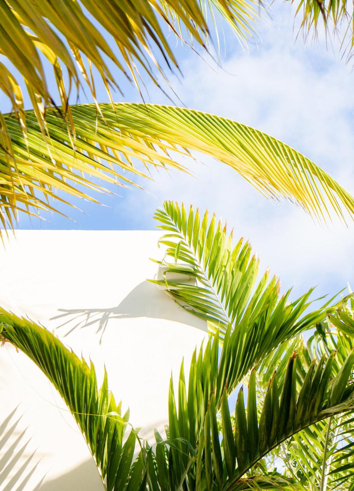Le Martin Boutique Hotel Cul de Sac Ngoại thất bức ảnh